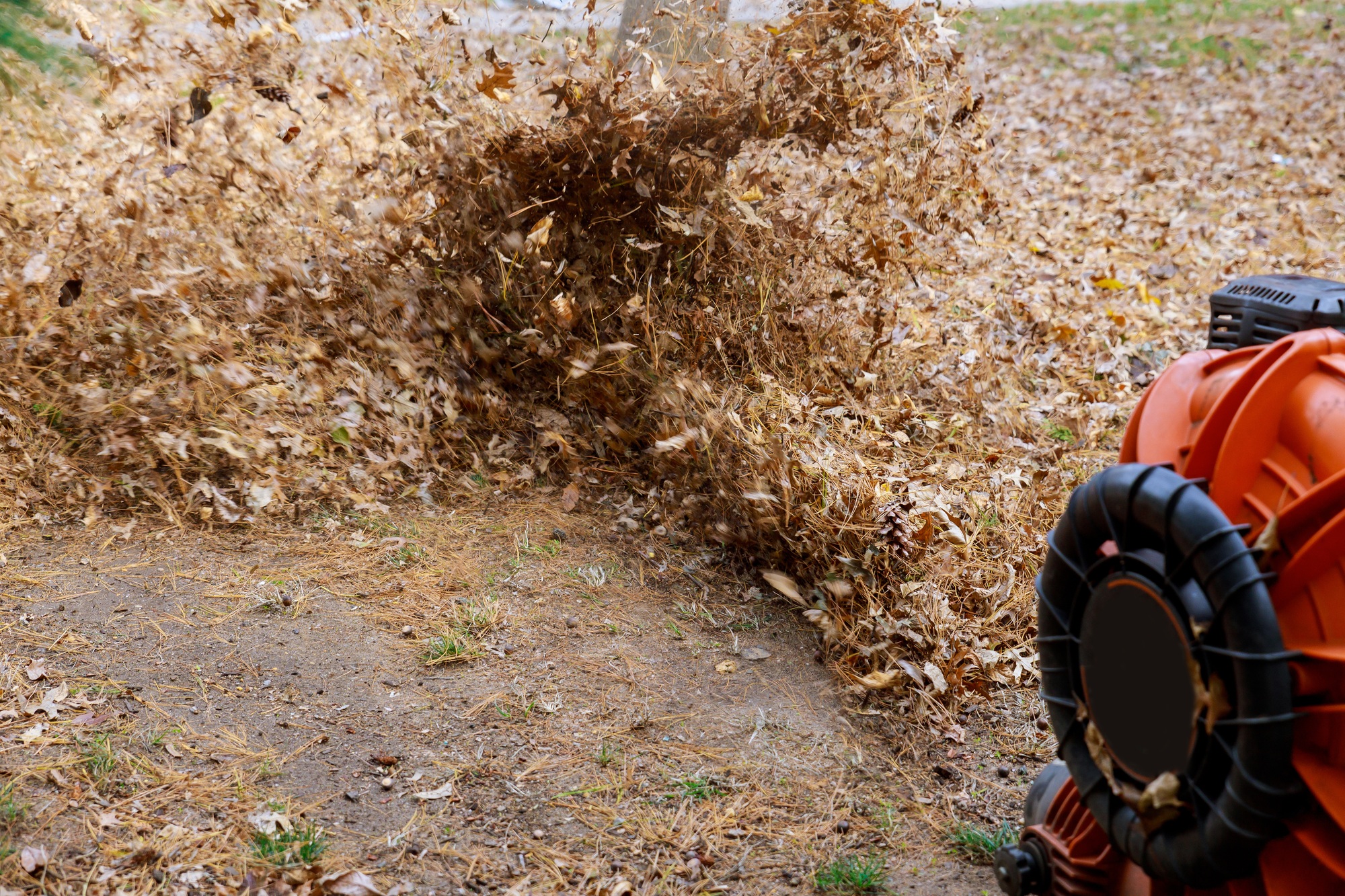 Autumn leaves cleaning of the territory from leaves in autumn with brooms, raking