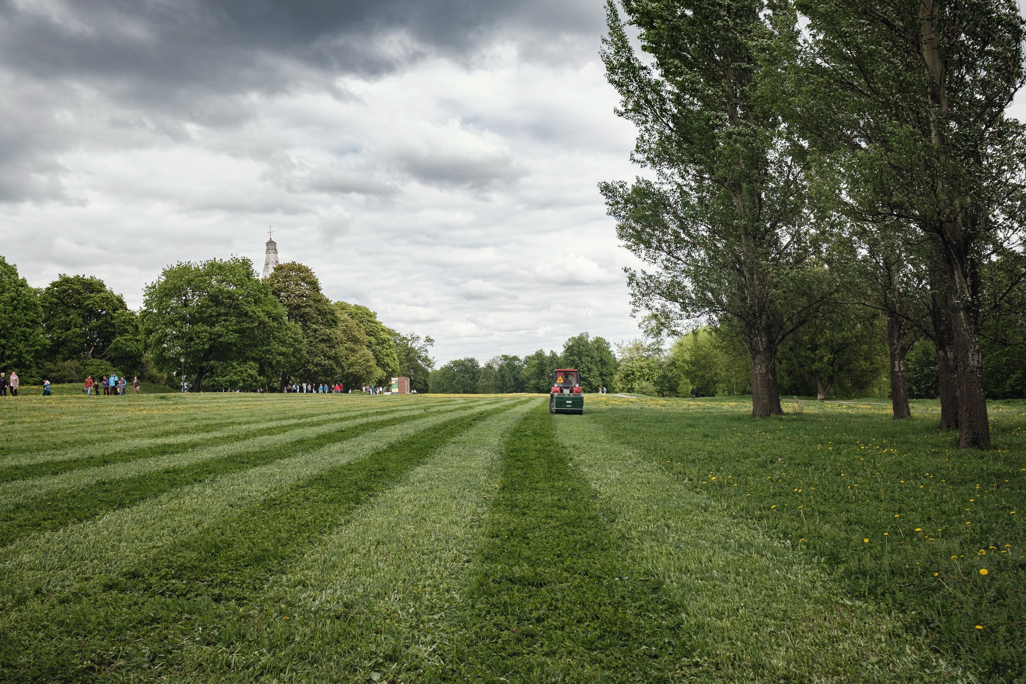 mower cutting the grass in public park.